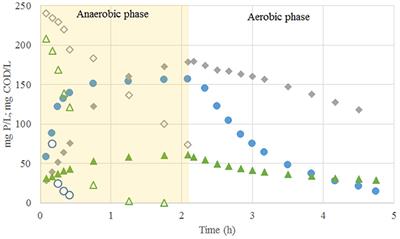 Effect of Lactate on the Microbial Community and Process Performance of an EBPR System